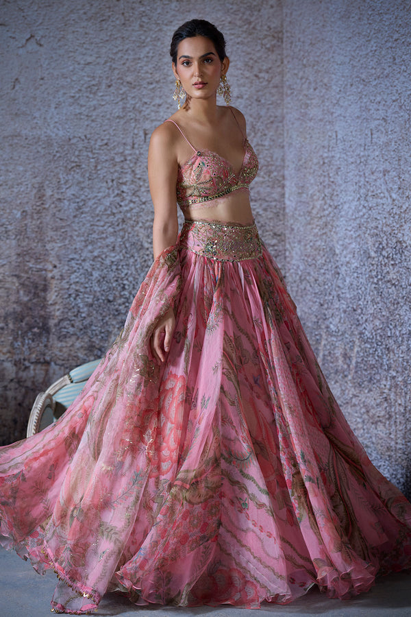 Arya Embroidered Lehenga