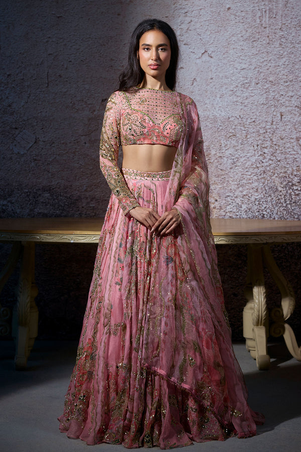 Radha Embroidered Lehenga Set