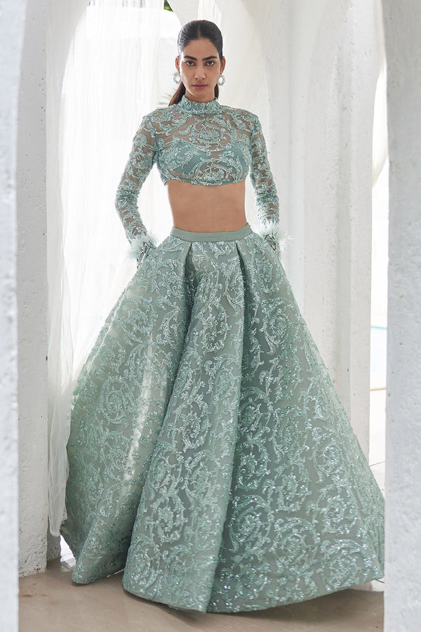 Rani Embroidered Lehenga