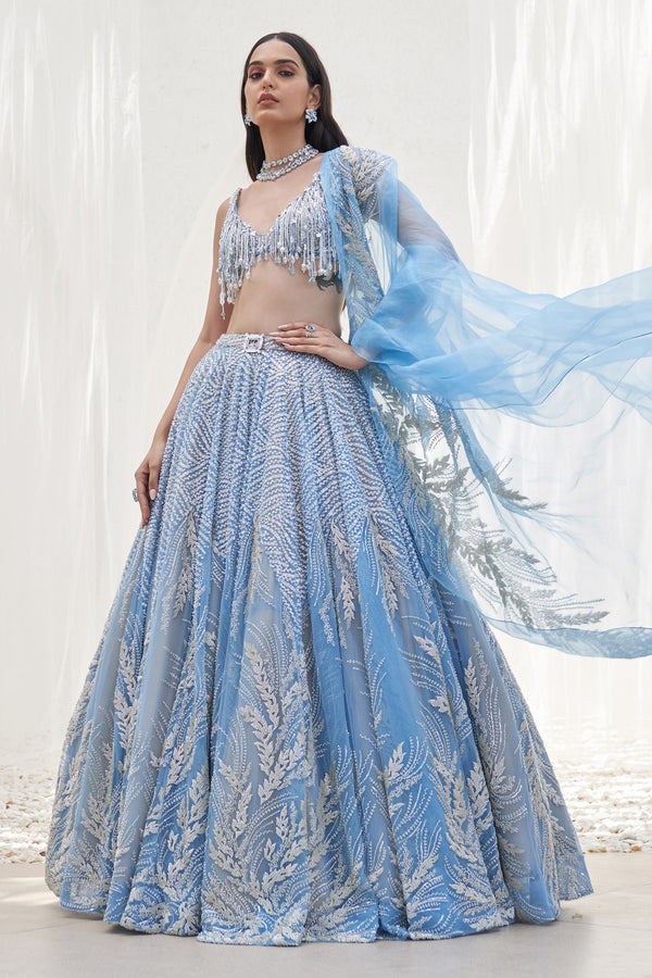 Panah Embroidered Lehenga Set