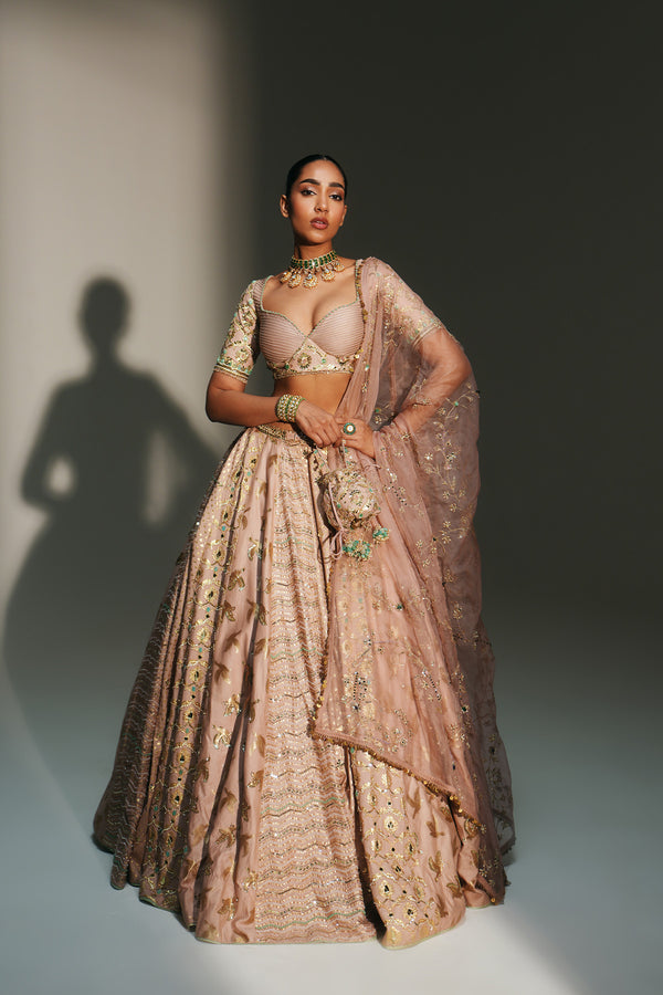 VIDHI