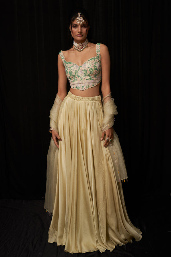 Embroidered Lehenga Set