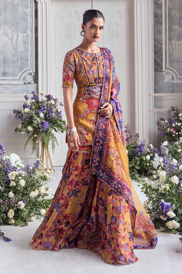 Raesha Sharara Set