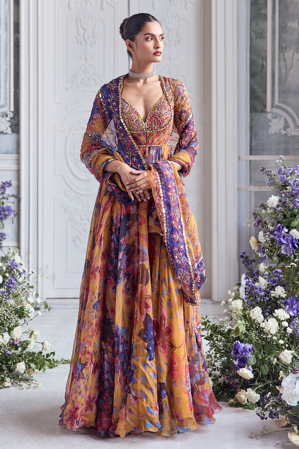 Avaia Choli Cut Anarkali Set