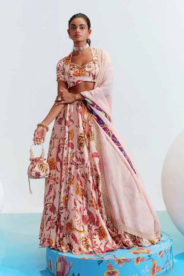 Tara Organza Embroidered Lehenga Set