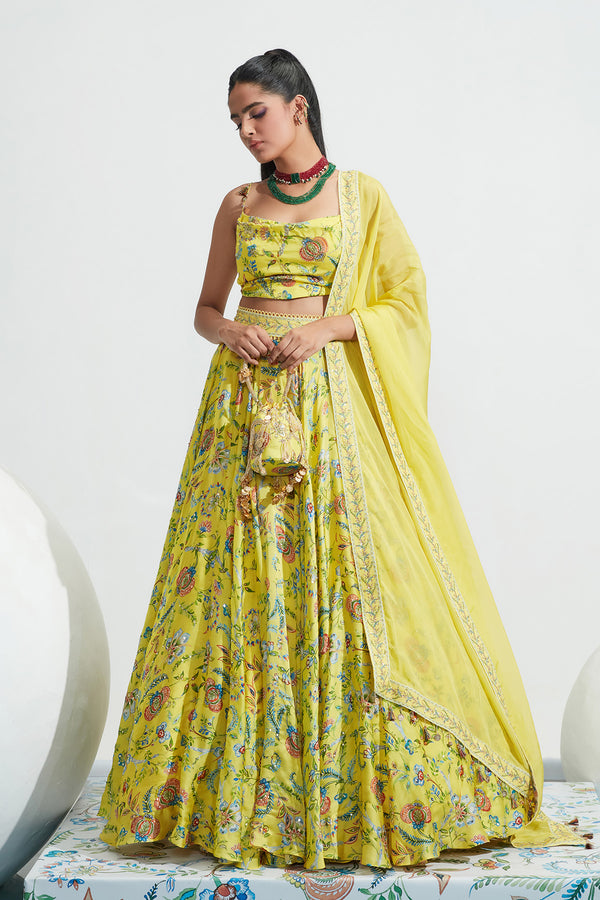 Daniya Embroidered Lehenga Set