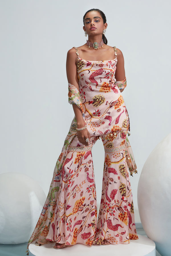 Zina Organza Gharara Set