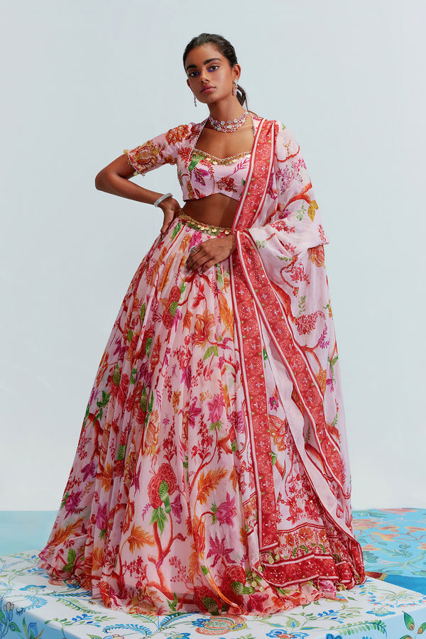 Aaliya Organza Embroidered Lehenga Set