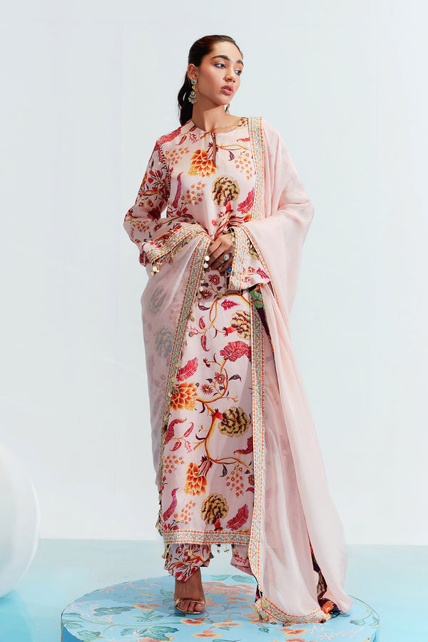 Tahira Organza Embroidered Kurta Set
