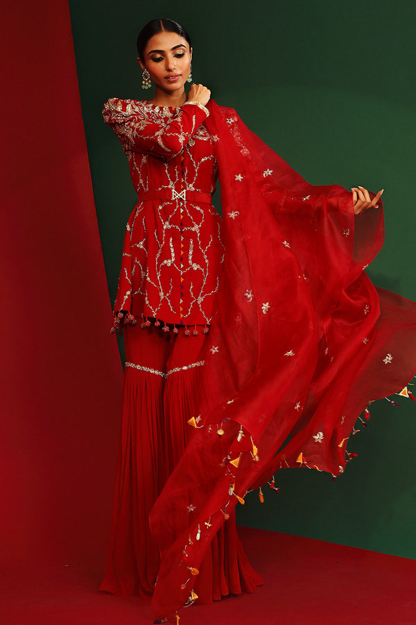 Mira Embroidered Gharara Set With Belt