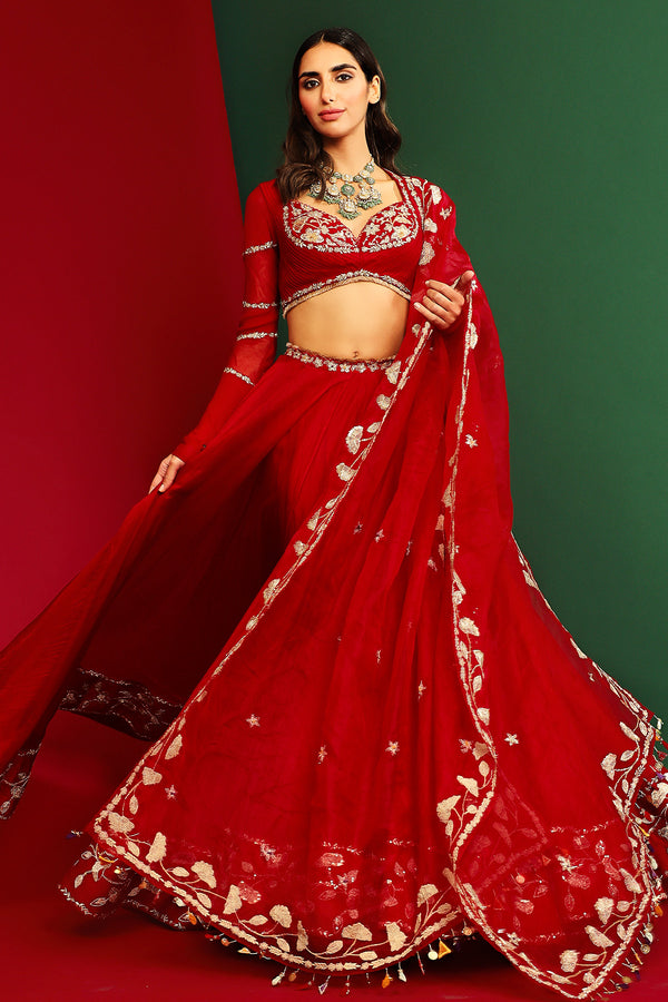 Rena Embroidered Lehenga Set