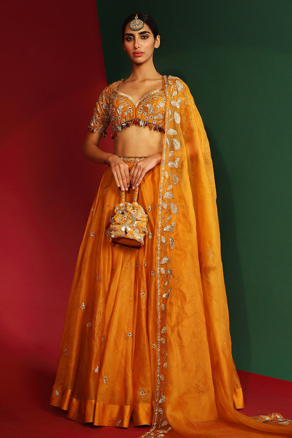 Ziva Embroidered Lehenga Set